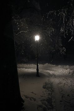 dark winter snow aesthetic. Dark christmas. Snow storm snow in city lamp post Snow Aesthetic Dark, Winter Snow Aesthetic, Park At Night, Snow Aesthetic, Snow Forest, Night Scenery, Deep Winter, Winter Wallpaper