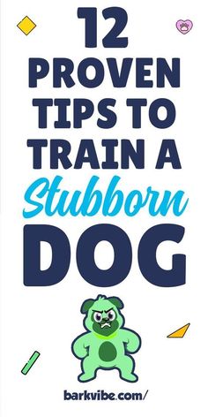 Boost Your Bond with Brain Training: Dogs Love It! Puppy Obedience Training, Dog Behavior Training, Basic Dog Training, Bad Behavior, Train Activities