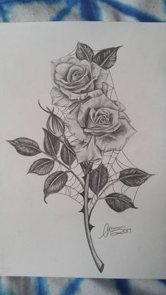 Tattoo Style Drawings Sketches, Pencil Colour Drawing Flower, Drawings With Charcoal, Flower Sketch Pencil, Vine Drawing, Beautiful Pencil Drawings, Easy Graffiti Drawings, Armband Tattoos, Flower Art Drawing