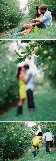 two people are hugging in the grass near an apple tree