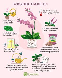 a poster with instructions on how to care for orchids and other flowers in pots