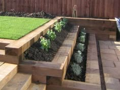 several wooden steps with plants growing in them