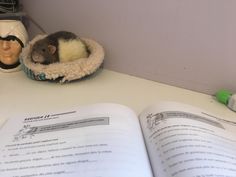 a mouse sitting in a bed next to an open book on a table with a doll head