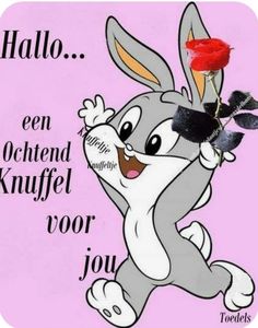 a cartoon rabbit with a rose on its head and the words hello, een oohnd knuff voor jou