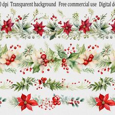 christmas watercolor clipart borders with poinsettis and holly