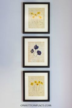 three framed flowers are hanging on the wall