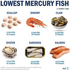 an image of the different types of seafood