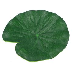 a close up of a green leaf on a white background