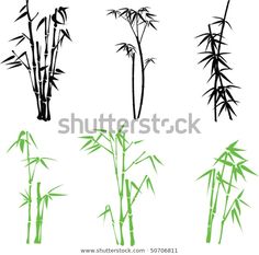 four different types of bamboo trees with green leaves and stems in silhouettes on a white background