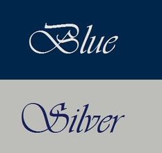 blue and silver are the same color as each other in this logo design, but with different font styles