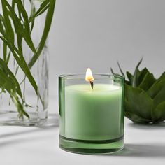 a green candle sitting in front of some plants