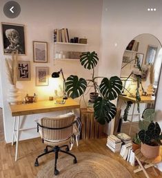 a room filled with lots of plants and books on top of a hard wood floor