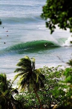 people are swimming in the ocean and surfing