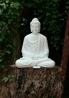 a white buddha statue sitting on top of a tree stump