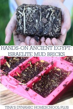 Hands-on Ancient Egypt: Israelite Mud Bricks for Kids. This mud bricks for kids activity is fun. Also, look at my Ancient Civilization page for more Egyptian activities. Stone building was reserved for monuments, But other places the ancient Egyptians wanted to last forever. However, basic buildings like homes, tombs, palaces, or even just protective walls in Ancient Egypt were constructed of brick. Brick making was very hard, labor intensive work. Curiosity Chronicles, Mud Crafts, Egyptian Activities, Brick Recipe, Weekly Activities, Brick Making, The Nile River, Ancient Israelites