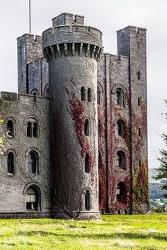 an old stone castle with many windows and ivy growing on it's sides, surrounded by green grass