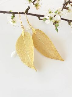 These beautiful earrings are made from real leaves electroformed in gold. The amazing delicate details of the leaf has been preserved by an electroforming process creating a beautiful and unique gift of nature. These earrings are durable, lightweight and very elegant. These real leaves are from the evergreen Rudraksha tree. Each leaf is unique, therefore, please expect a small variation from the leaves on the photographs. The leaves are around 2 inches (5cm) long, delicate looking but strong. Ea Leaf Earrings Gold, Woodland Jewelry, Real Leaf, Real Leaves, Natural Jewelry, Mermaid Jewelry, Gold Leaf Earrings, Leaf Jewelry, Gold Dipped