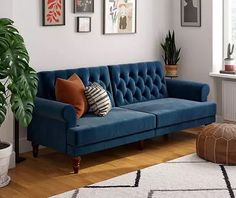 a living room with a blue couch and potted plants on the floor next to it