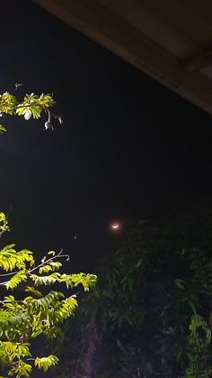 the street light is shining brightly in the dark night sky above some trees and bushes