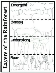 the layers of an environment worksheet