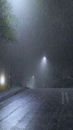 two street lights are shining in the dark on a rain soaked road with no cars