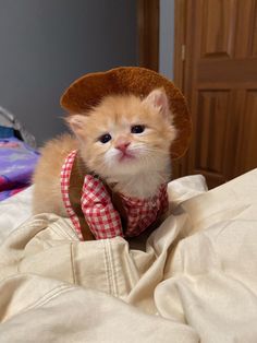 an orange and white kitten wearing a hat on top of a bed