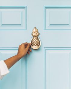 a person is opening the door with a pineapple handle