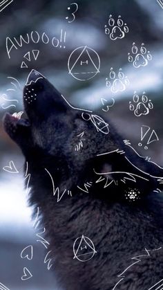 a wolf is looking up at the sky with symbols all over it's face