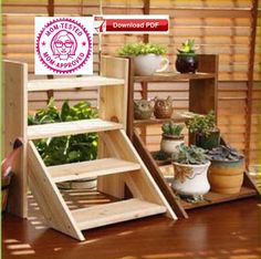 an assortment of plants are displayed on wooden shelves