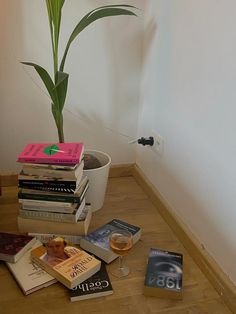 a table topped with lots of books and a potted plant next to it on top of a hard wood floor