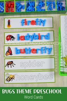 bugs theme preschool word cards with the words firefly, ladybird, butterfly and spider