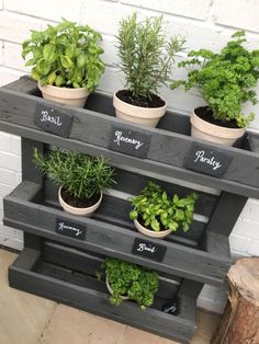 an outdoor herb garden with herbs and herbs growing on the top shelf, in front of a white brick wall