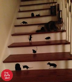 a cat sitting on the top of some stairs with many cats decals all over it