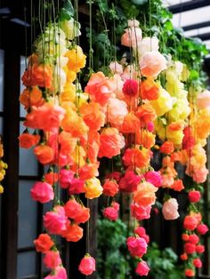 colorful flowers hanging from the side of a building