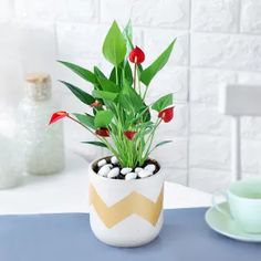 a potted plant sitting on top of a table next to a cup and saucer