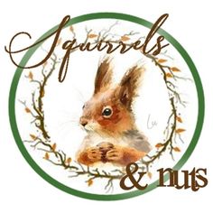 the logo for squirrels and nuts