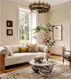 a living room filled with furniture and a large potted plant on top of a table