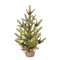 a small christmas tree with pine cones in a burlocked pot on a white background