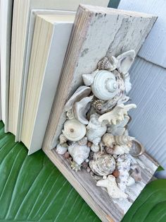 an open book with seashells on it sitting next to a green leafy plant