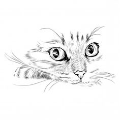 a black and white drawing of a cat's face