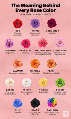 the meaning behind every rose color