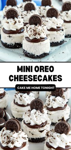 mini oreo cheesecakes on a white plate