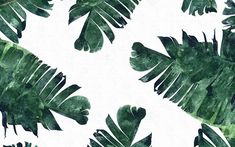 the words inspo are surrounded by watercolor palm leaves on a white background with green lettering