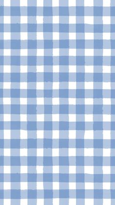 a blue and white gingham checkered fabric