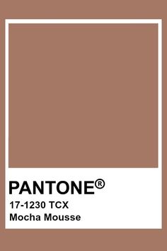 pantone's brown color is shown with the words, 17 - 130 tcx mo