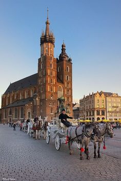 two horses pulling a carriage in front of a large building with tall towers and spires