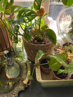 several potted plants sit on a table in front of a window, near a glass vase