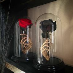 two vases with flowers inside of them on a shelf