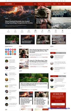 the wordpress theme is clean and ready to be used for your website or blog