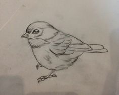 a drawing of a bird sitting on top of a table